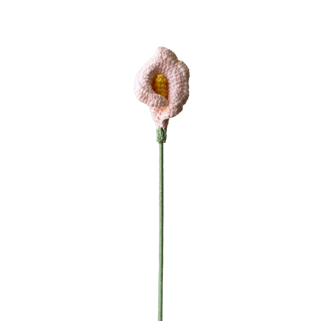 Calla Lily - Pink