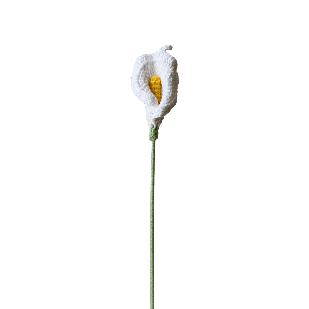 Calla Lily - White