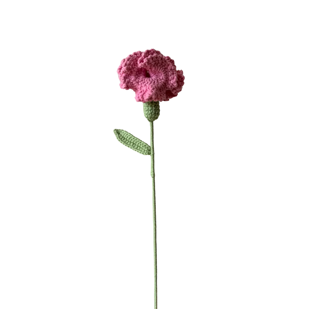 Carnation - Pink