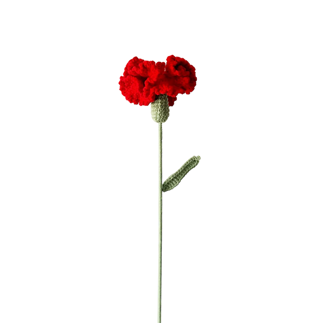 Carnation - Red