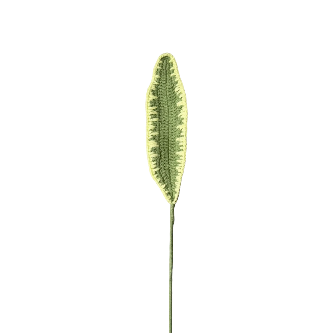 Cordyline Terminalis