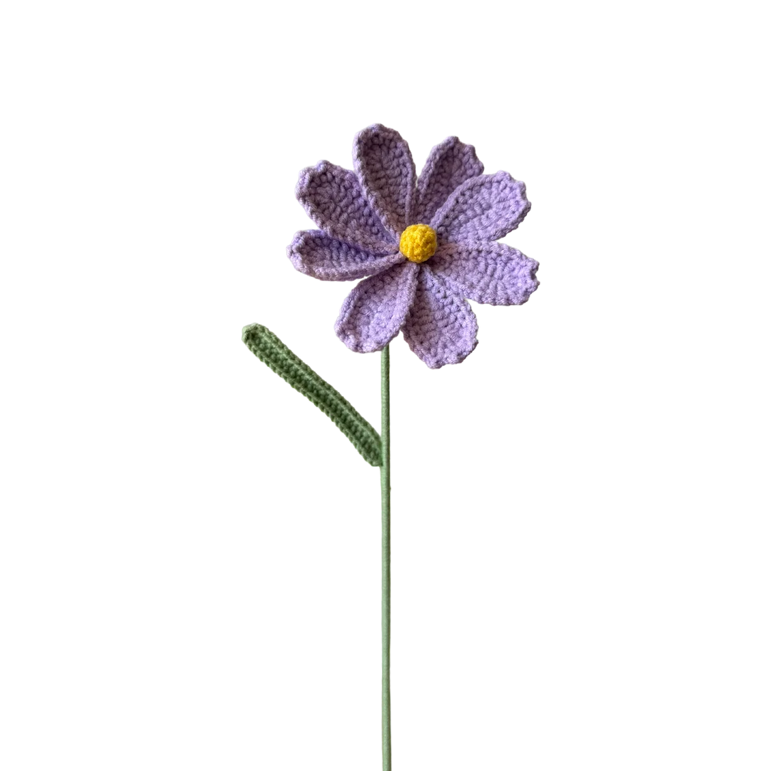 Cosmos - Purple