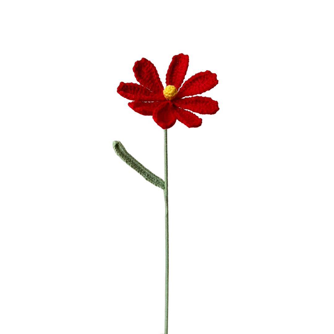 Cosmos - Red