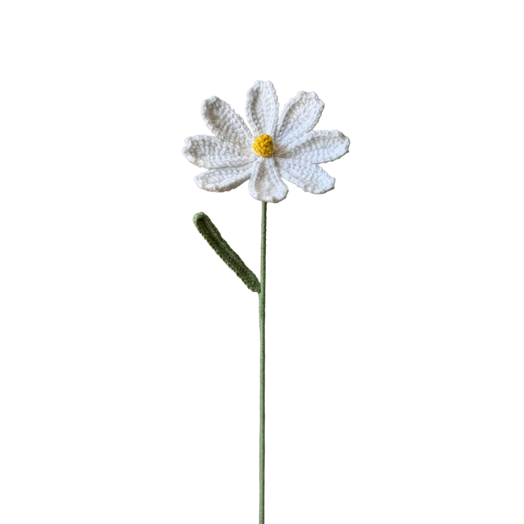 Cosmos - White
