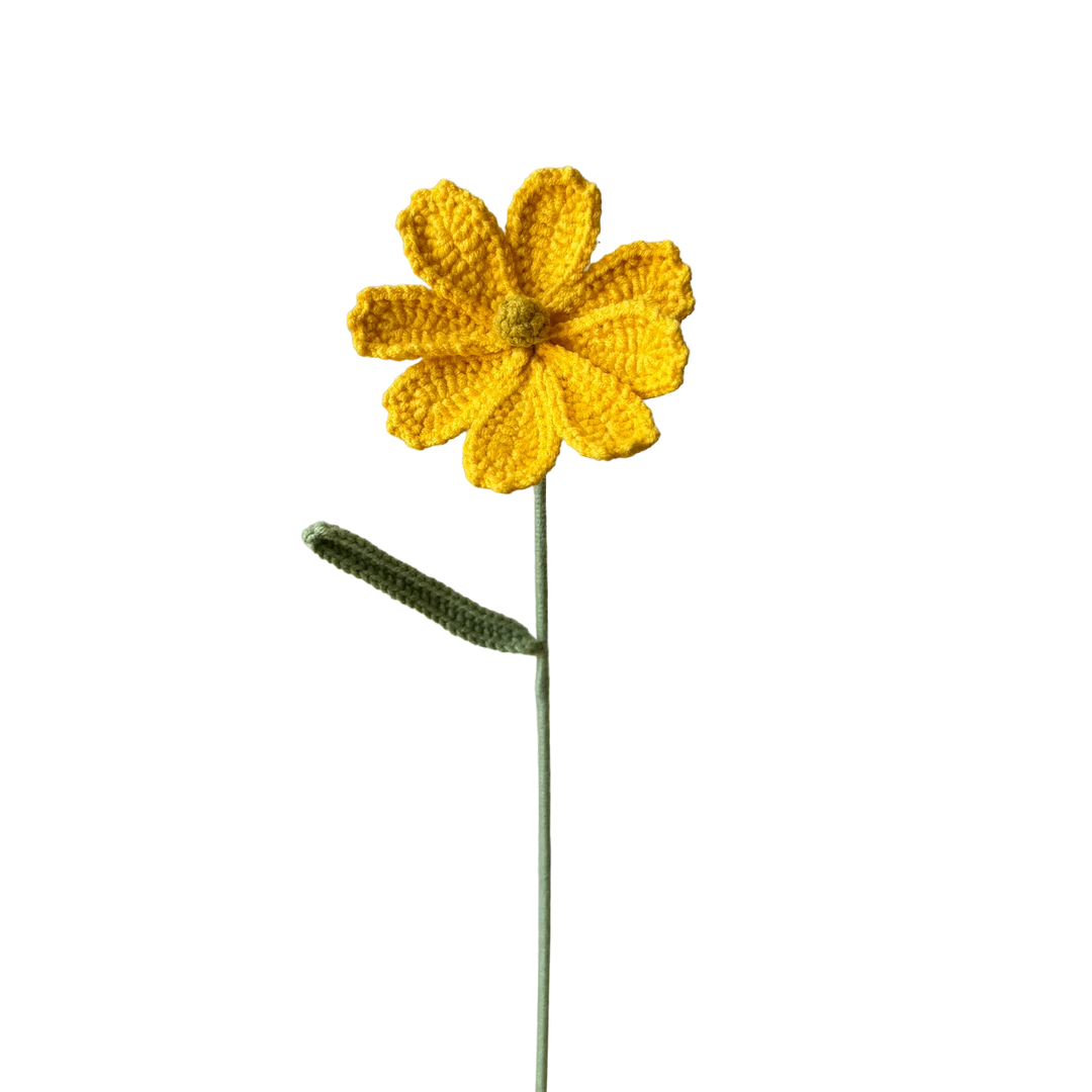 Cosmos - Yellow