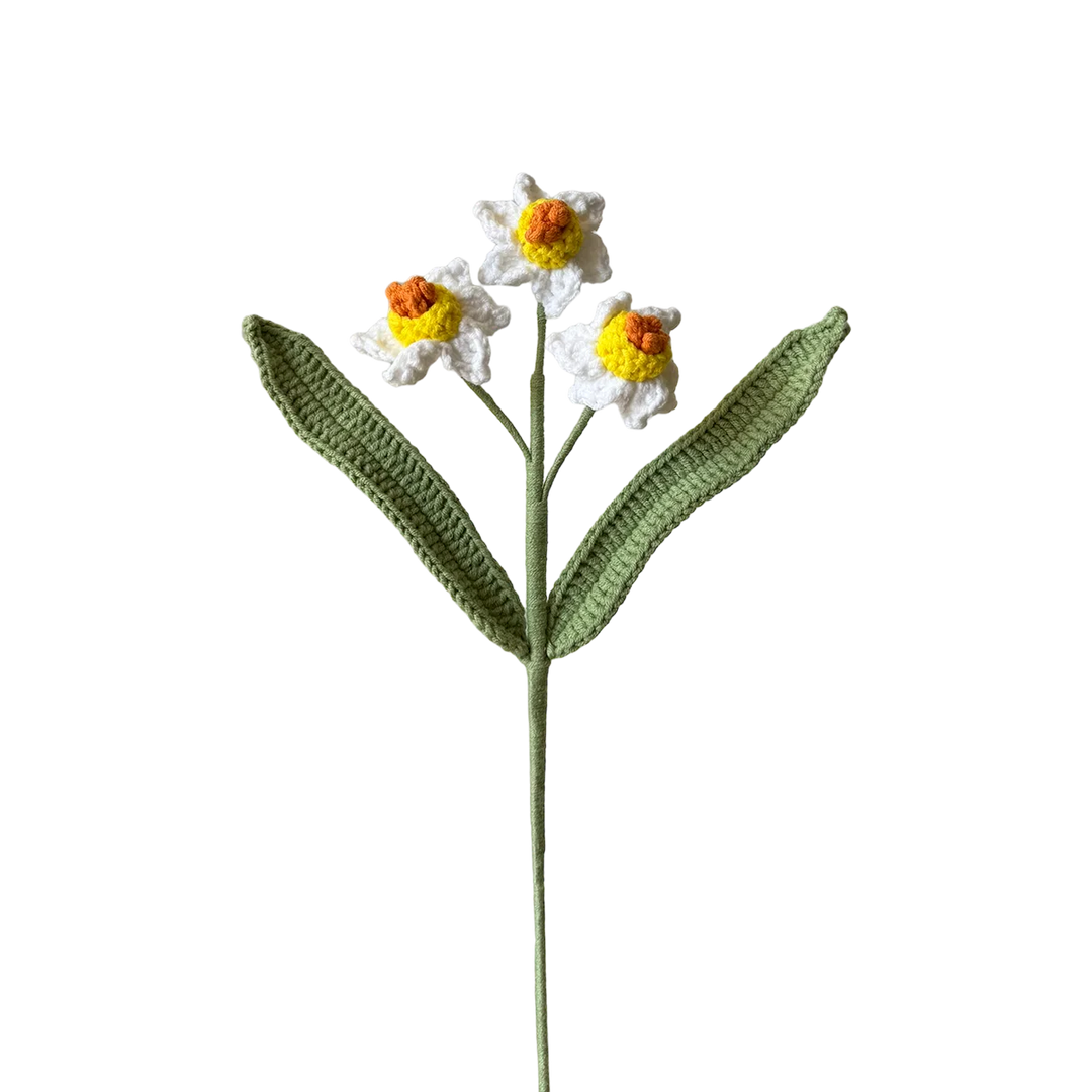 Daffodil