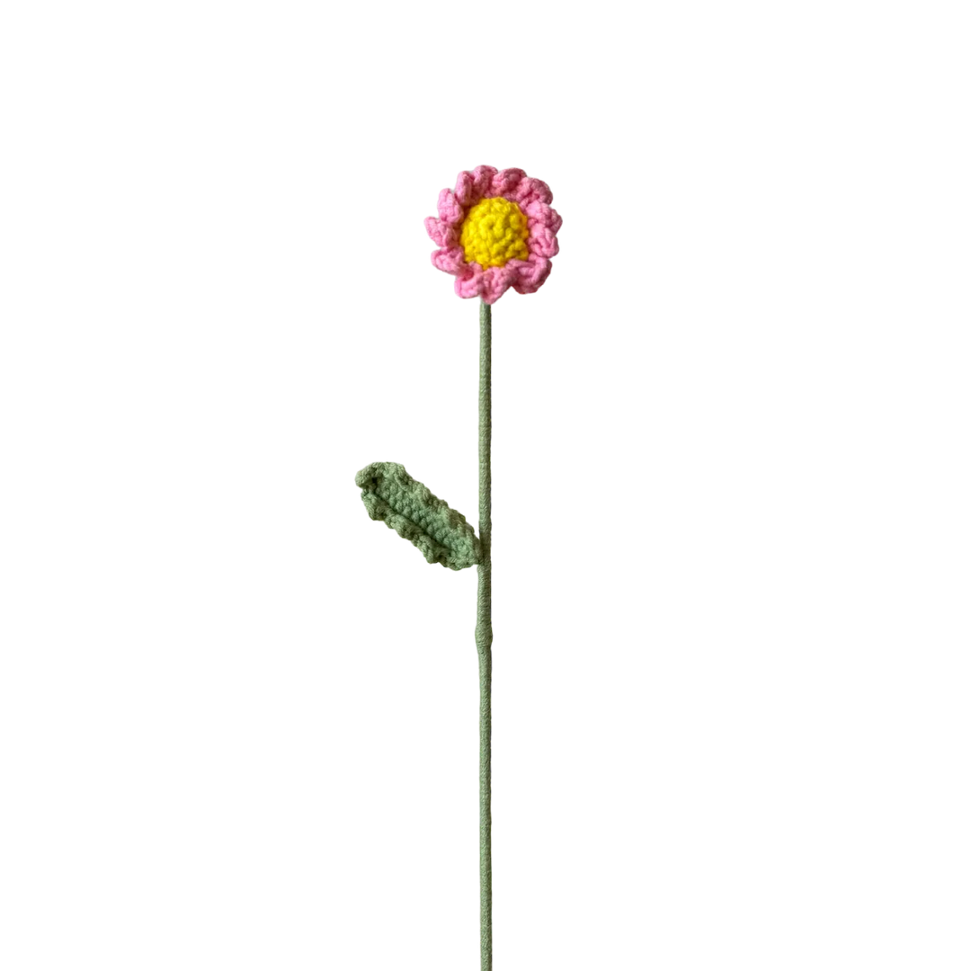 Daisy - Pink