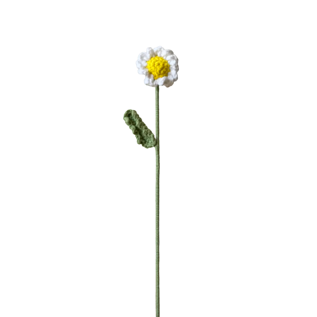 Daisy - White