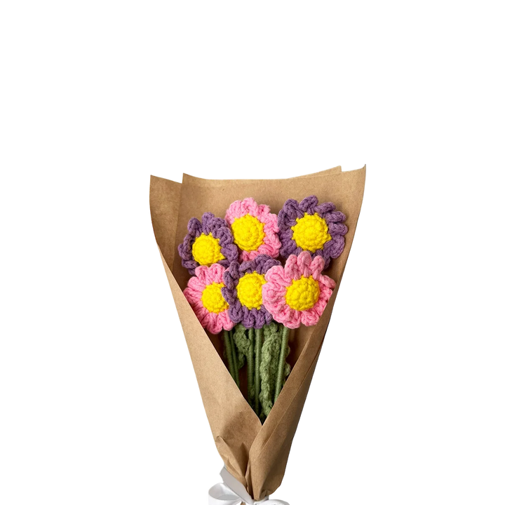 Daisy Blooms
