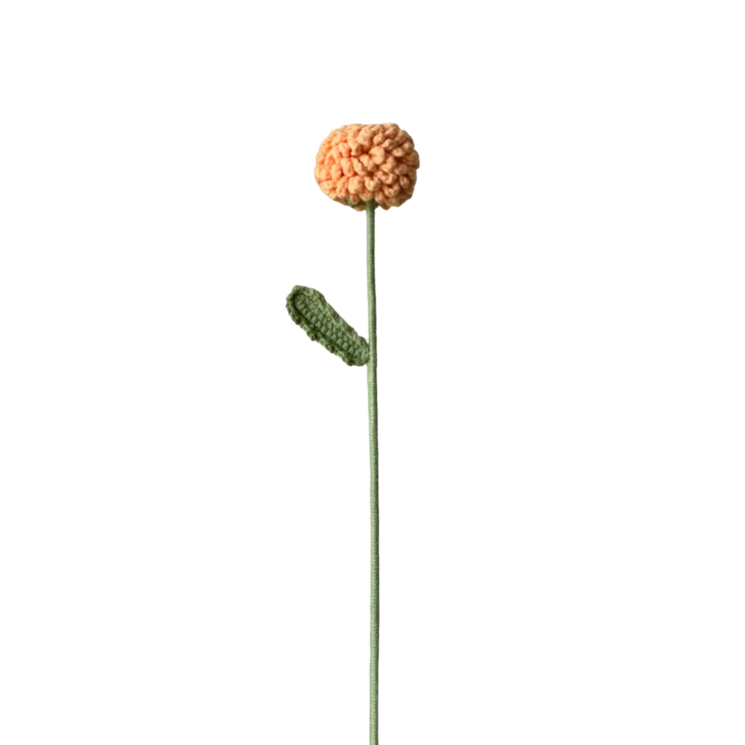 Dandelion - Orange