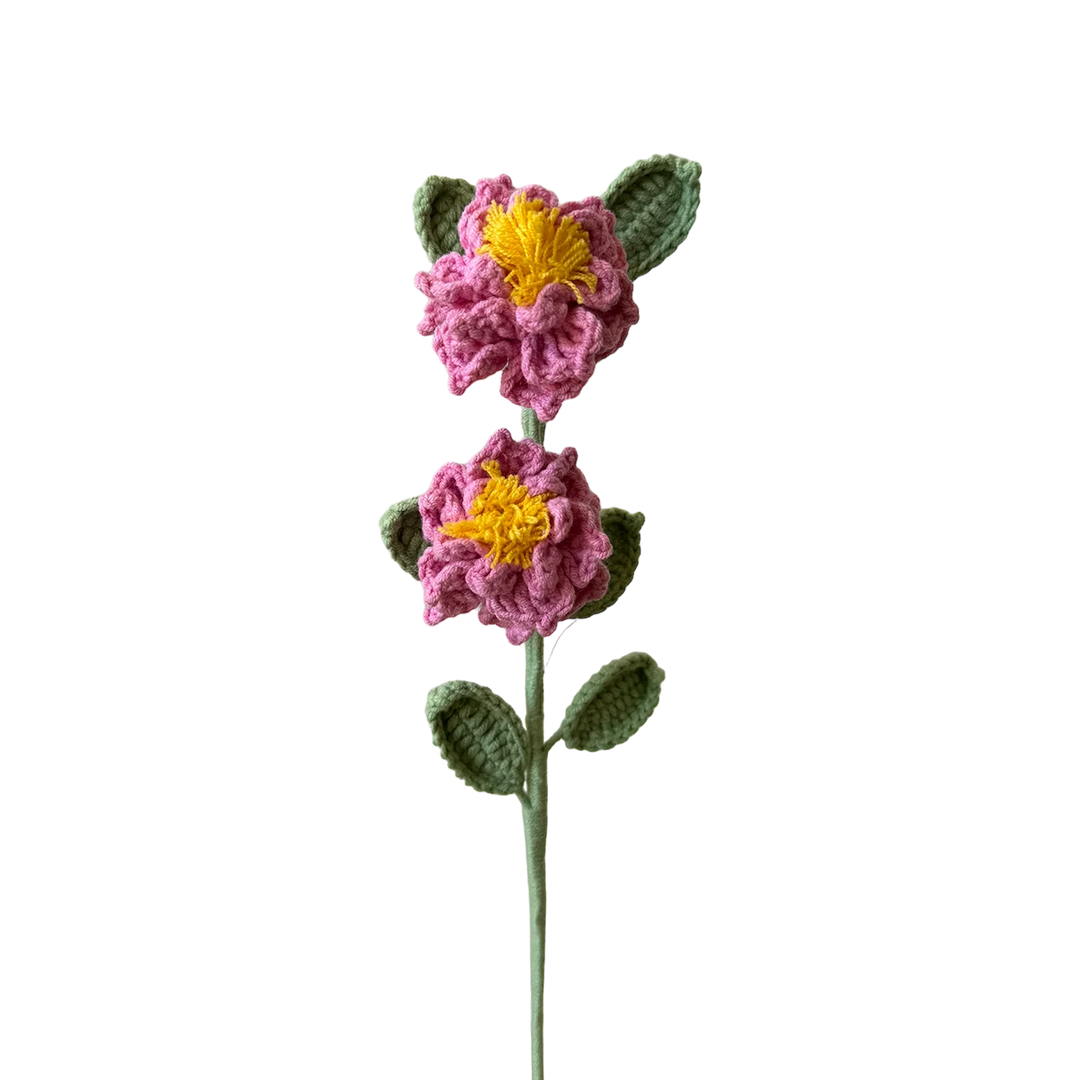 Gardenia - Pink