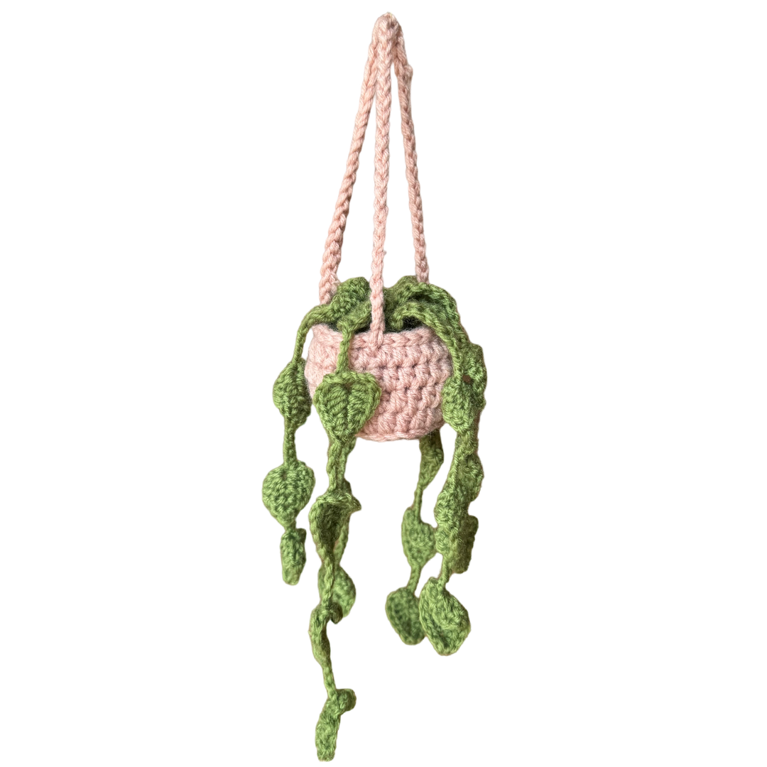 Hanging Mossy Philodendron