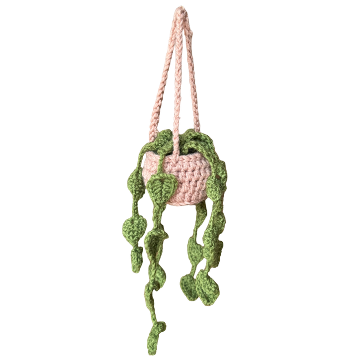Hanging Mossy Philodendron