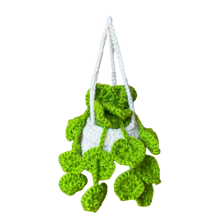 Hanging Pear Philodendron