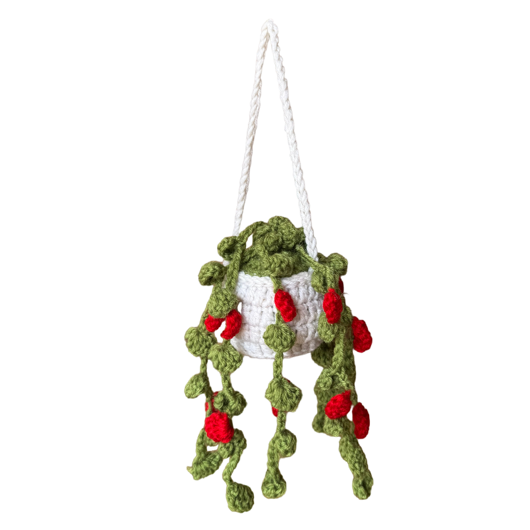 Hanging Velvet Vine