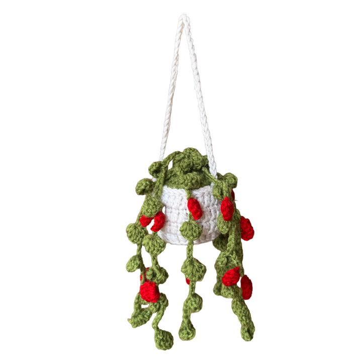 Hanging Velvet Vine