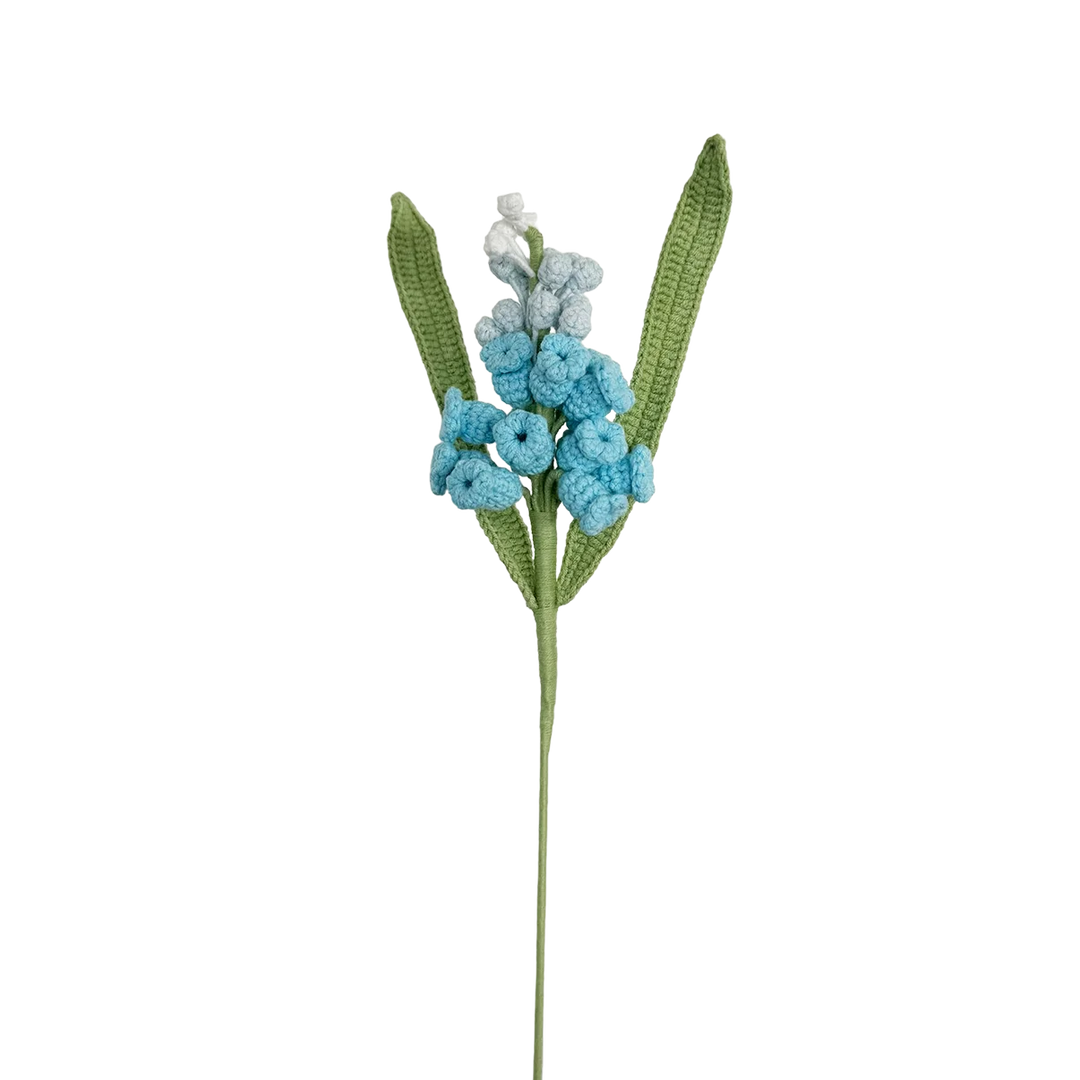 Hyacinth - Blue