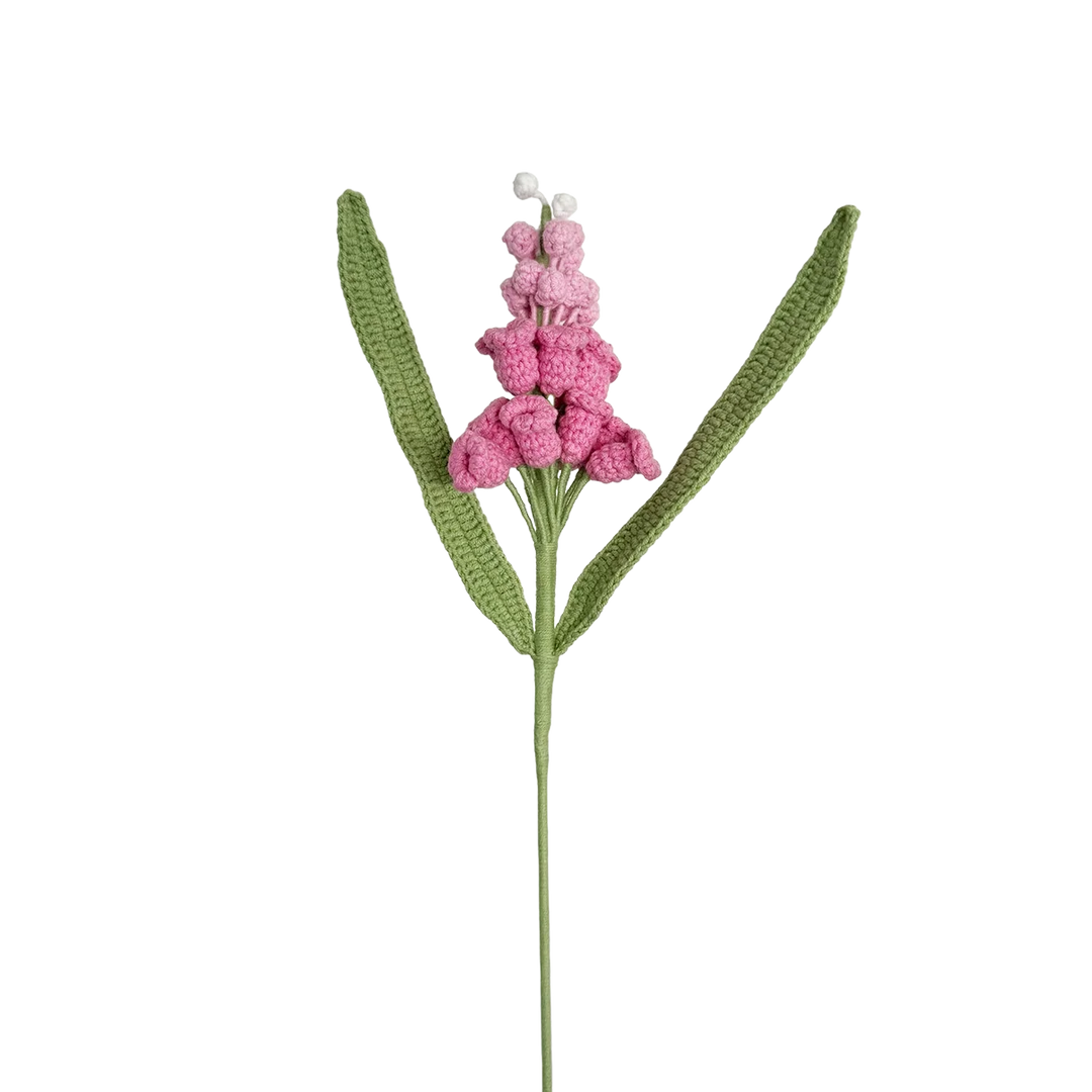 Hyacinth - Pink