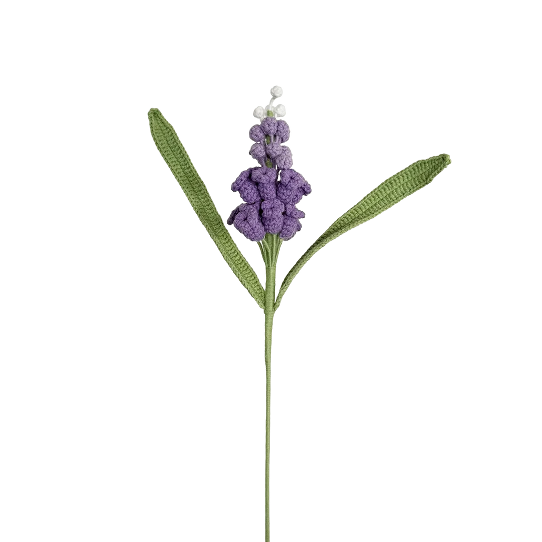 Hyacinth - Purple