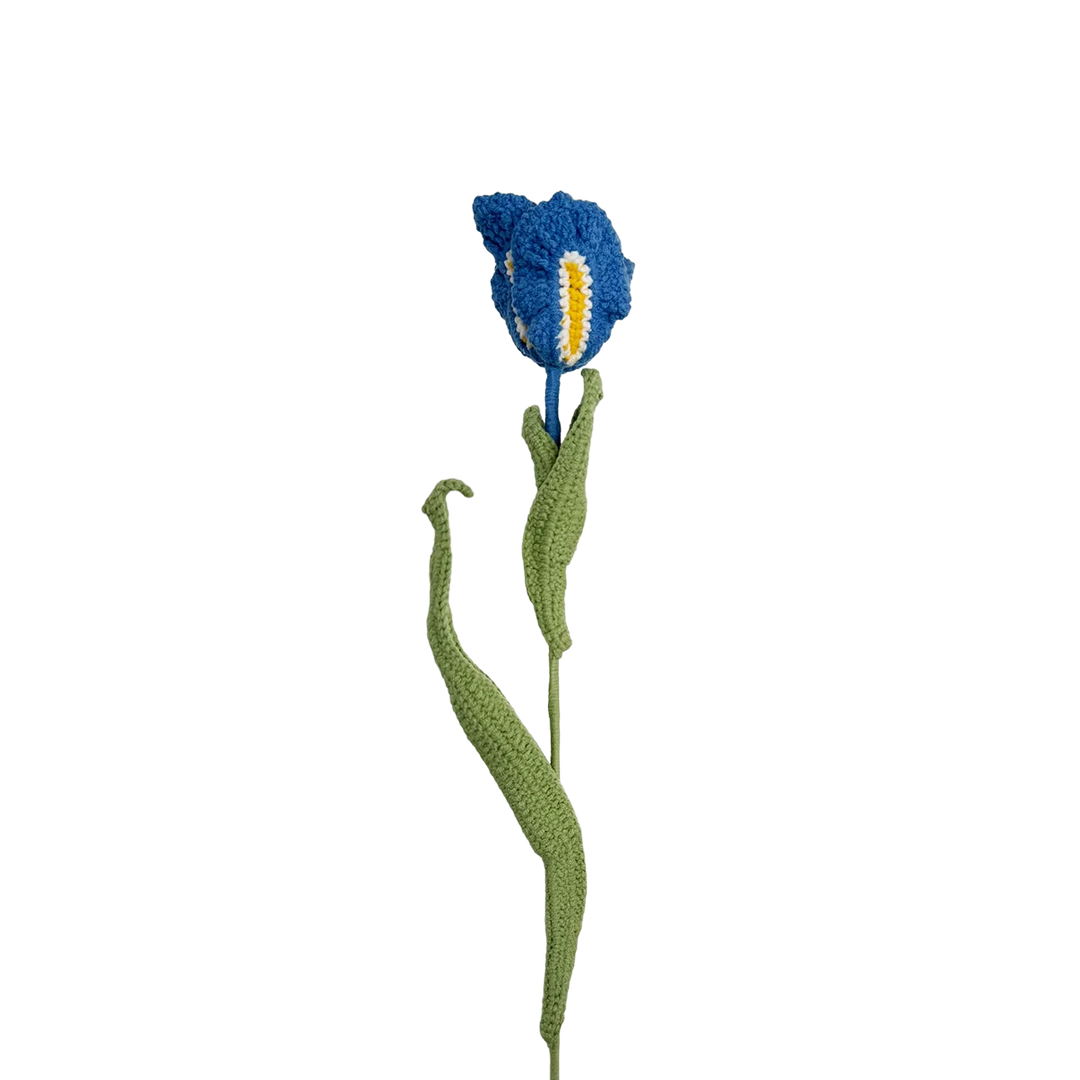 Iris - Blue