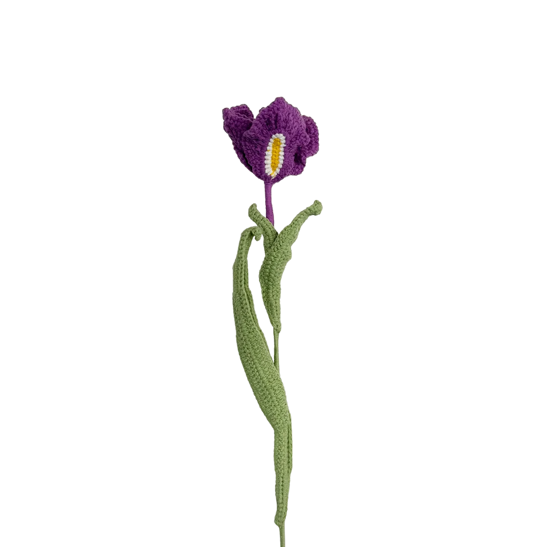 Iris - Purple