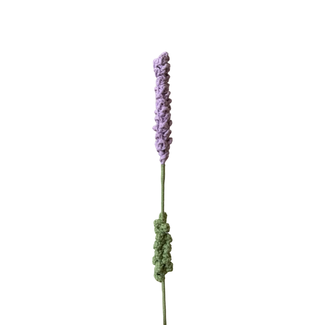 Lavender - Light Purple