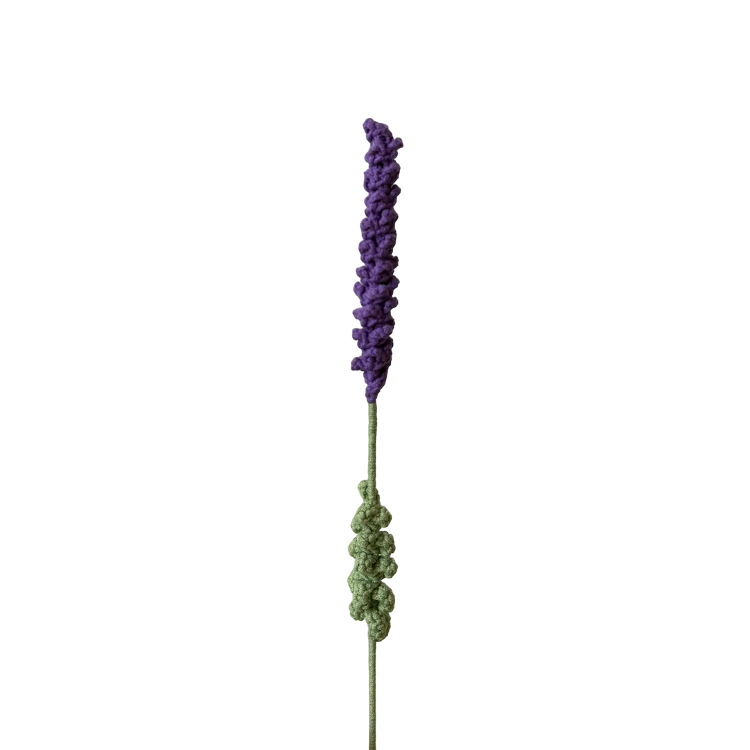Lavender - Dark Purple