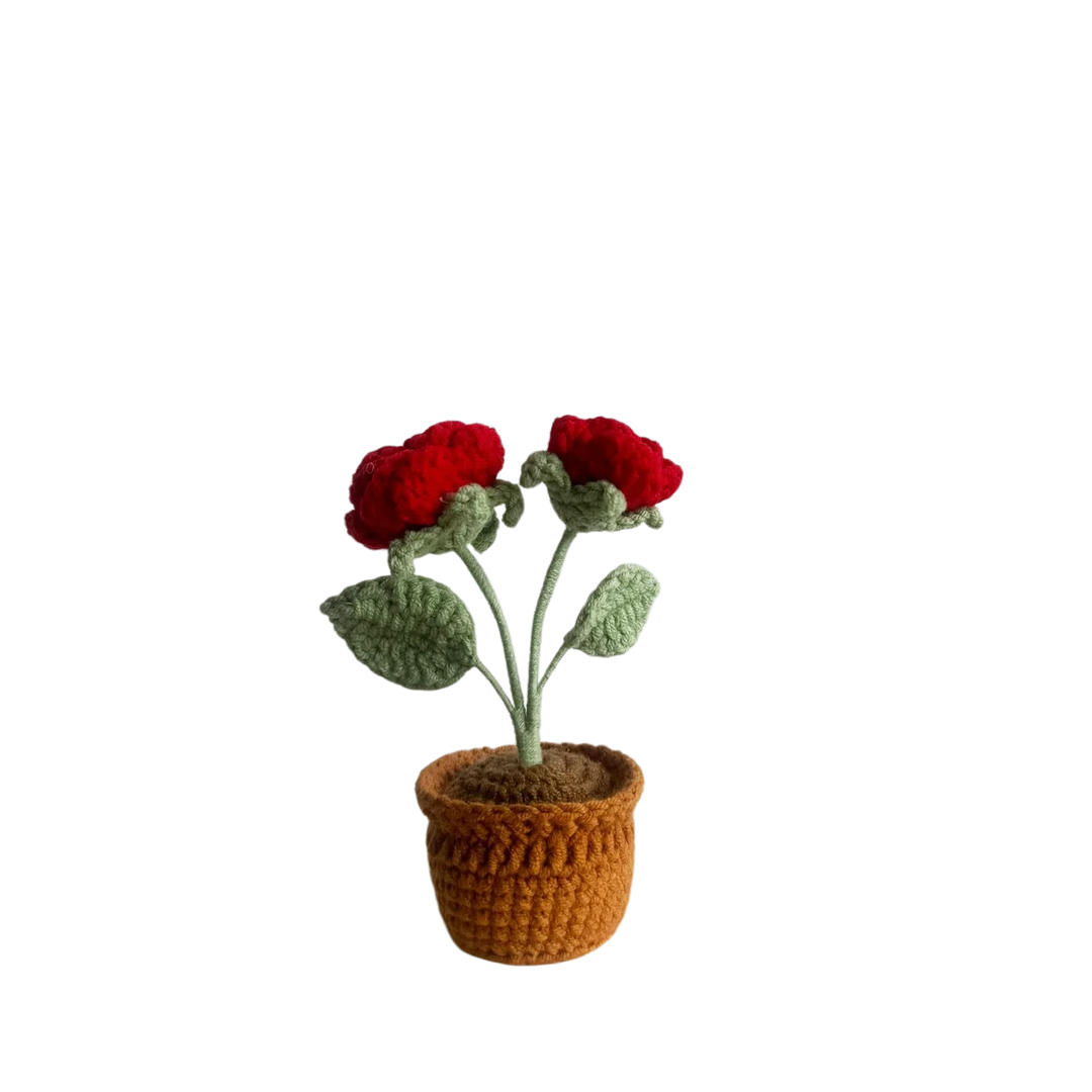 Mini Red Rose Pot Plant