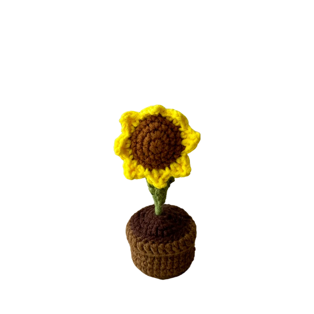 Mini Sunflower Pot Plant
