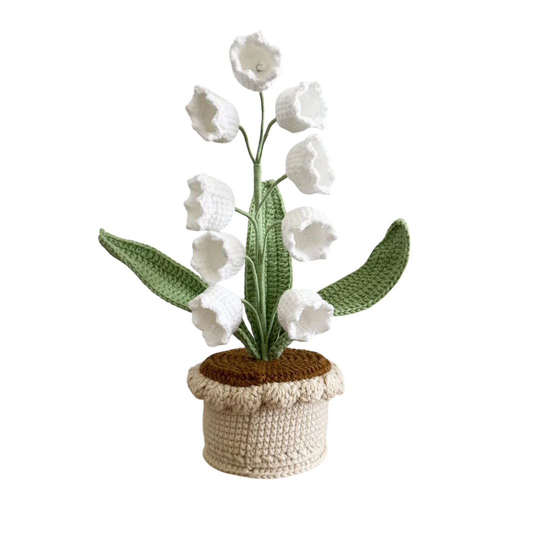 Lily of the Valley Pot Plant