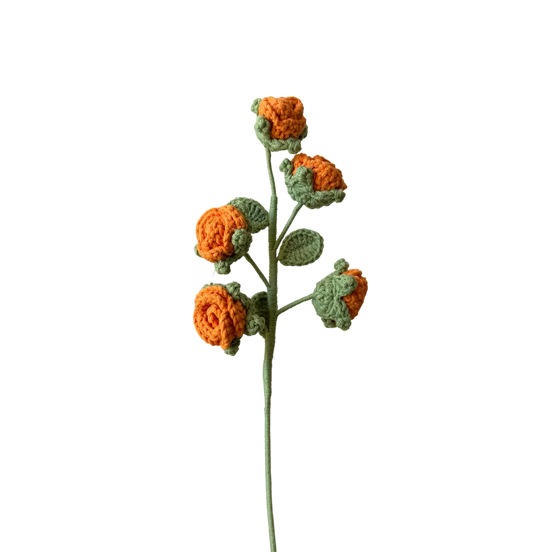 Rose - Orange