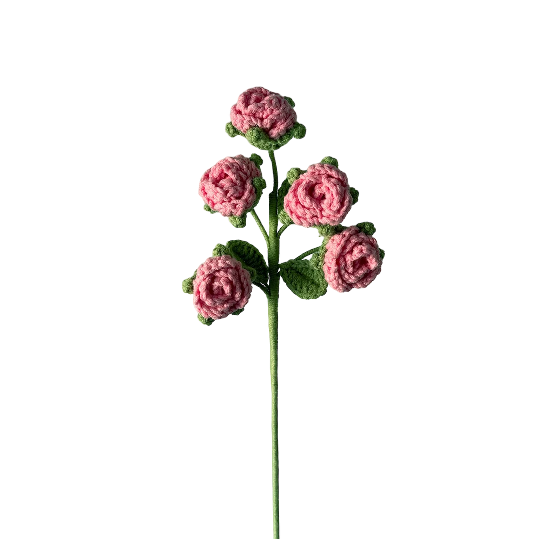 Rose - Pink