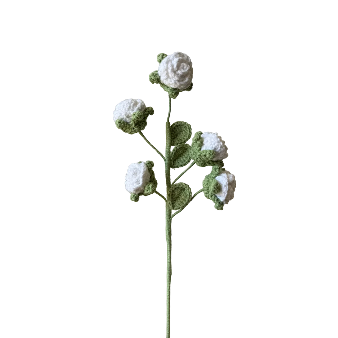 Rose - White