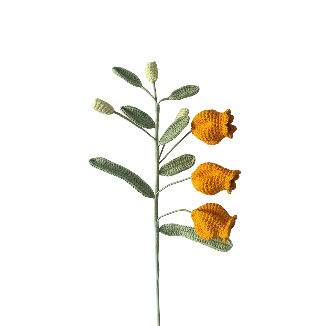 Sandersonia Aurantiaca