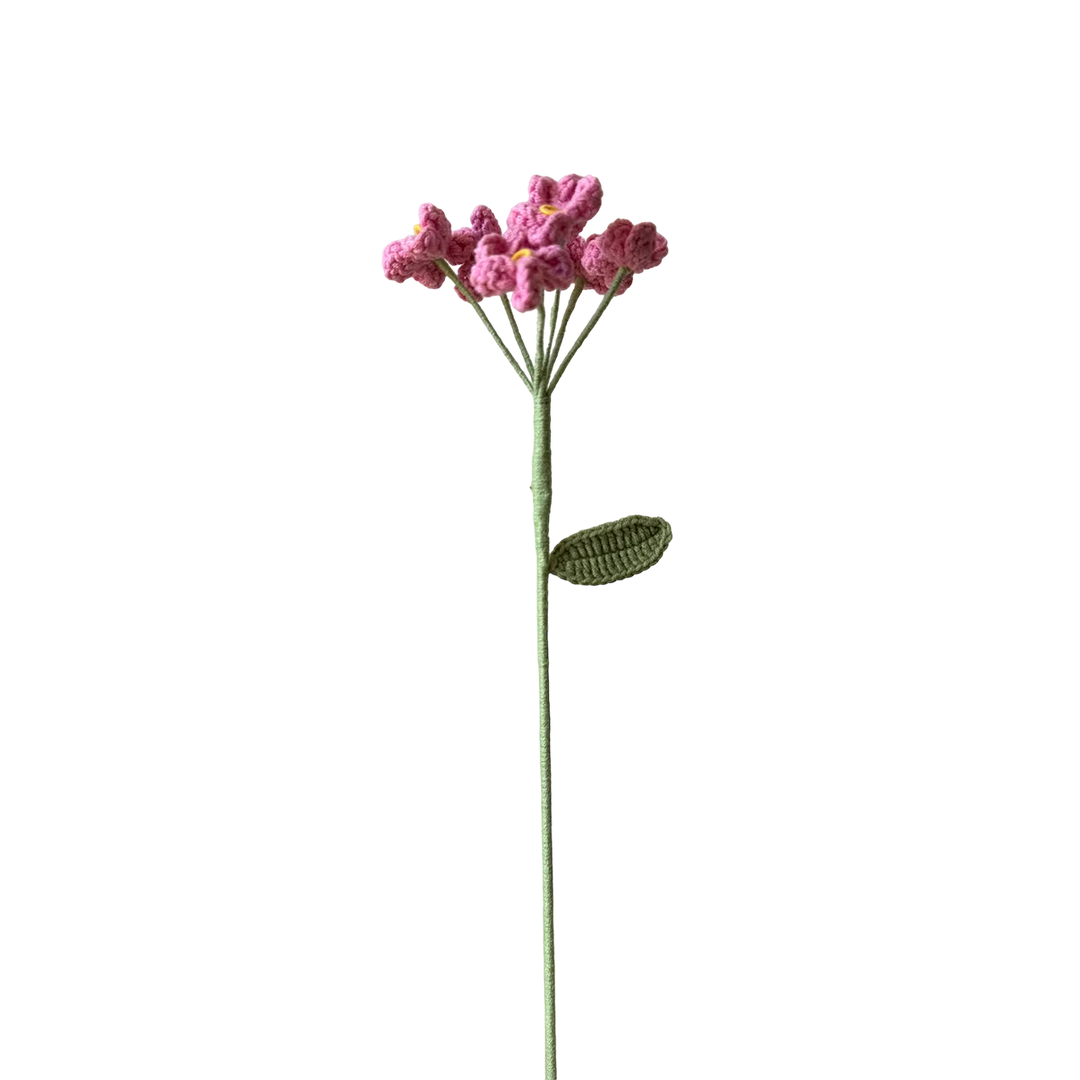 Scorpion Grasses - Pink