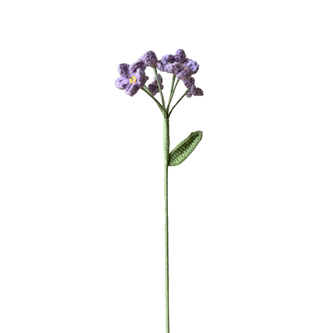 Scorpion Grasses - Purple
