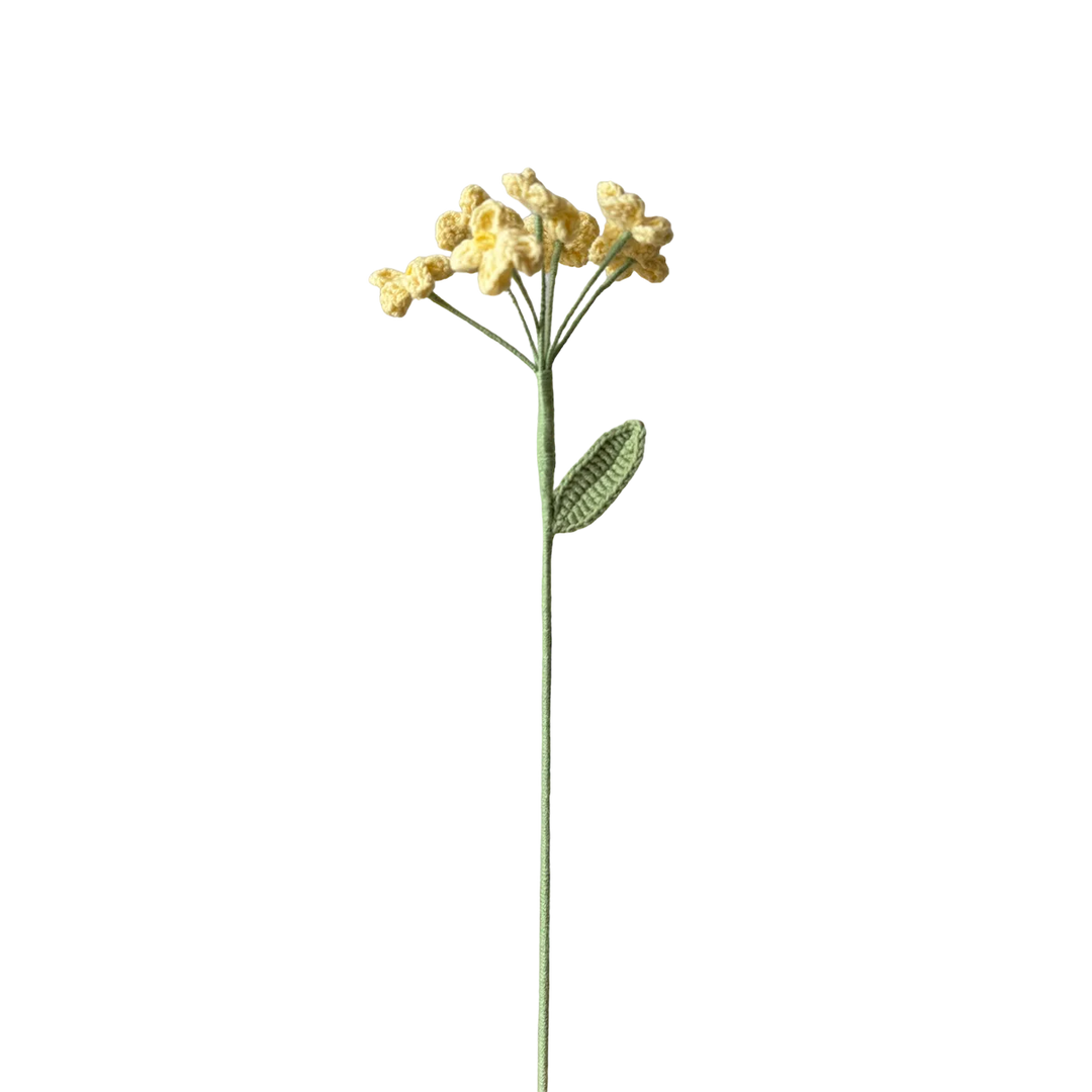 Scorpion Grasses - Yellow