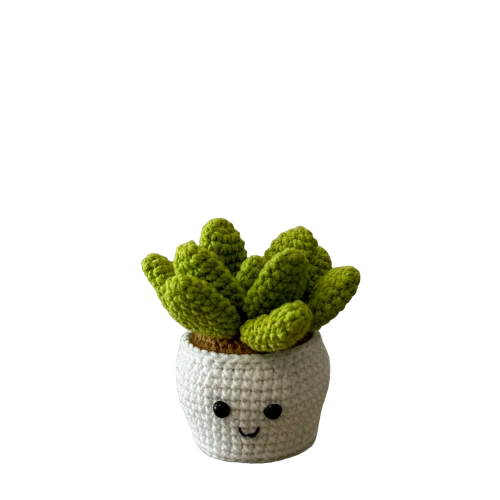 Smily Succulent