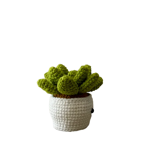 Smily Succulent