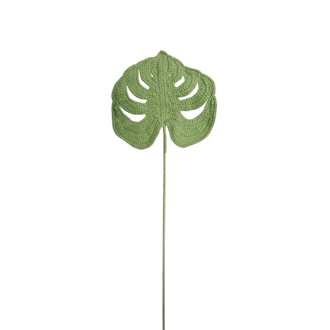Leaf - Swiss Cheese