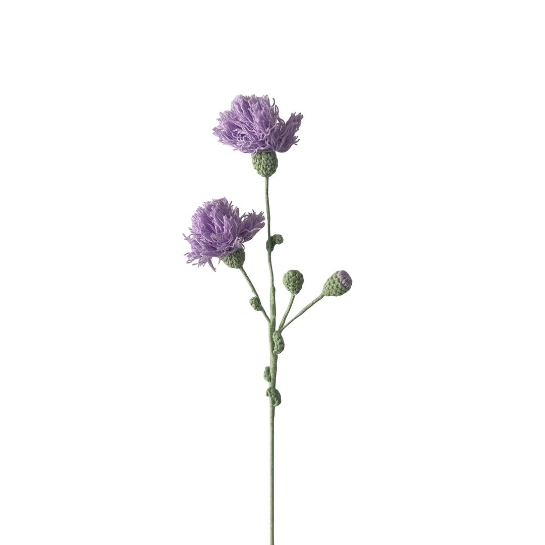 Thistle