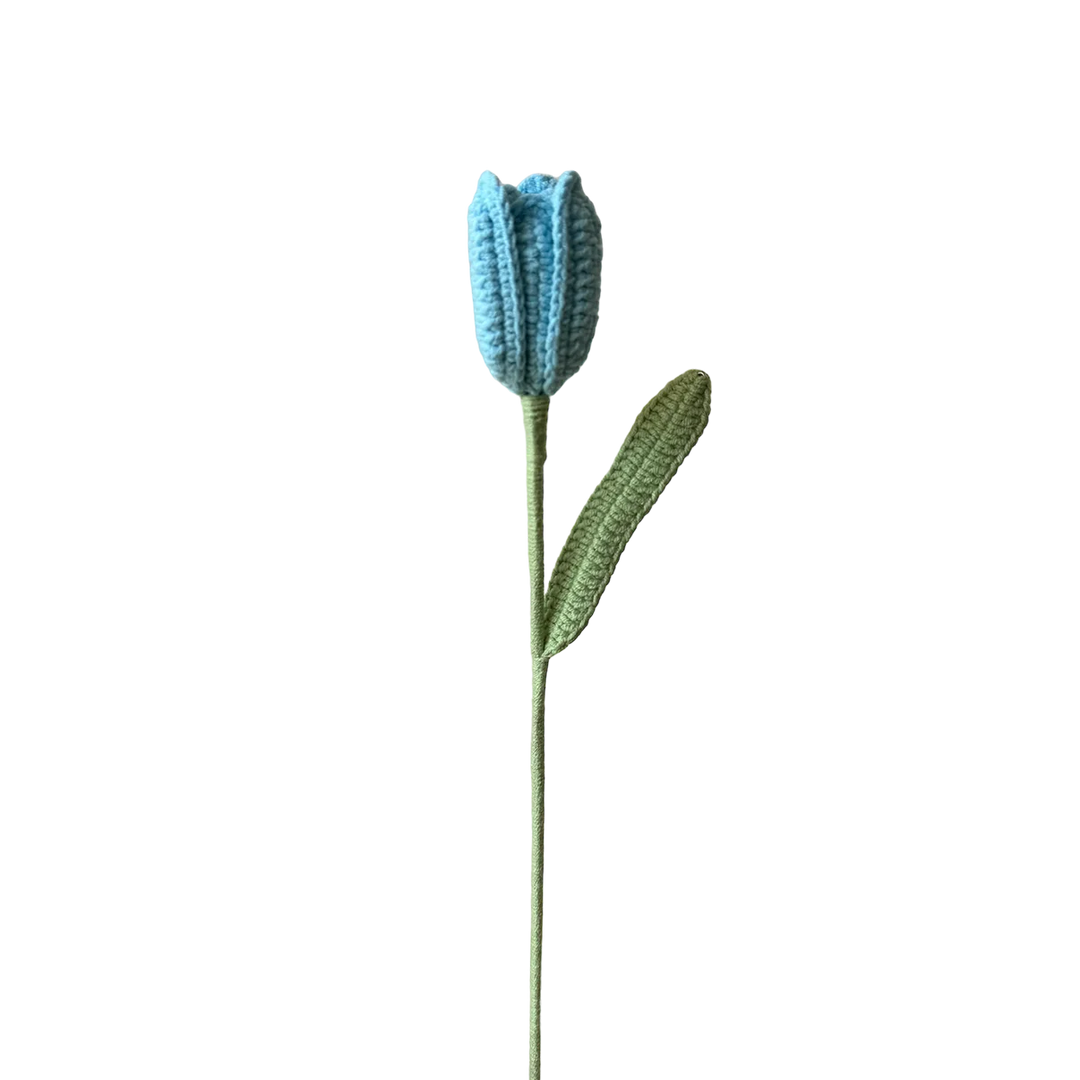 Tulip - Blue