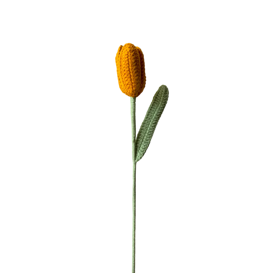 Tulip - Orange