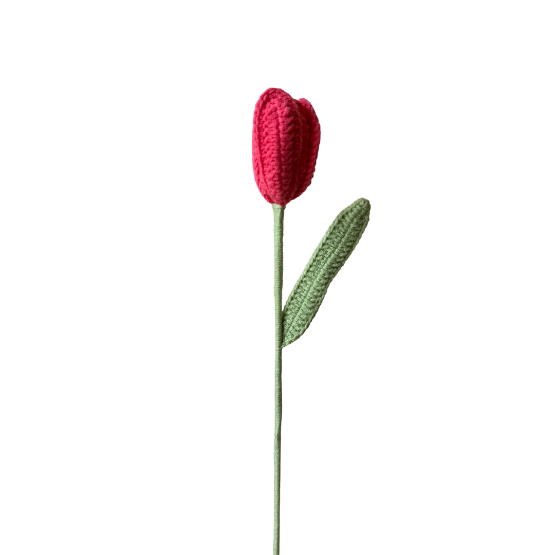 Tulip - Red
