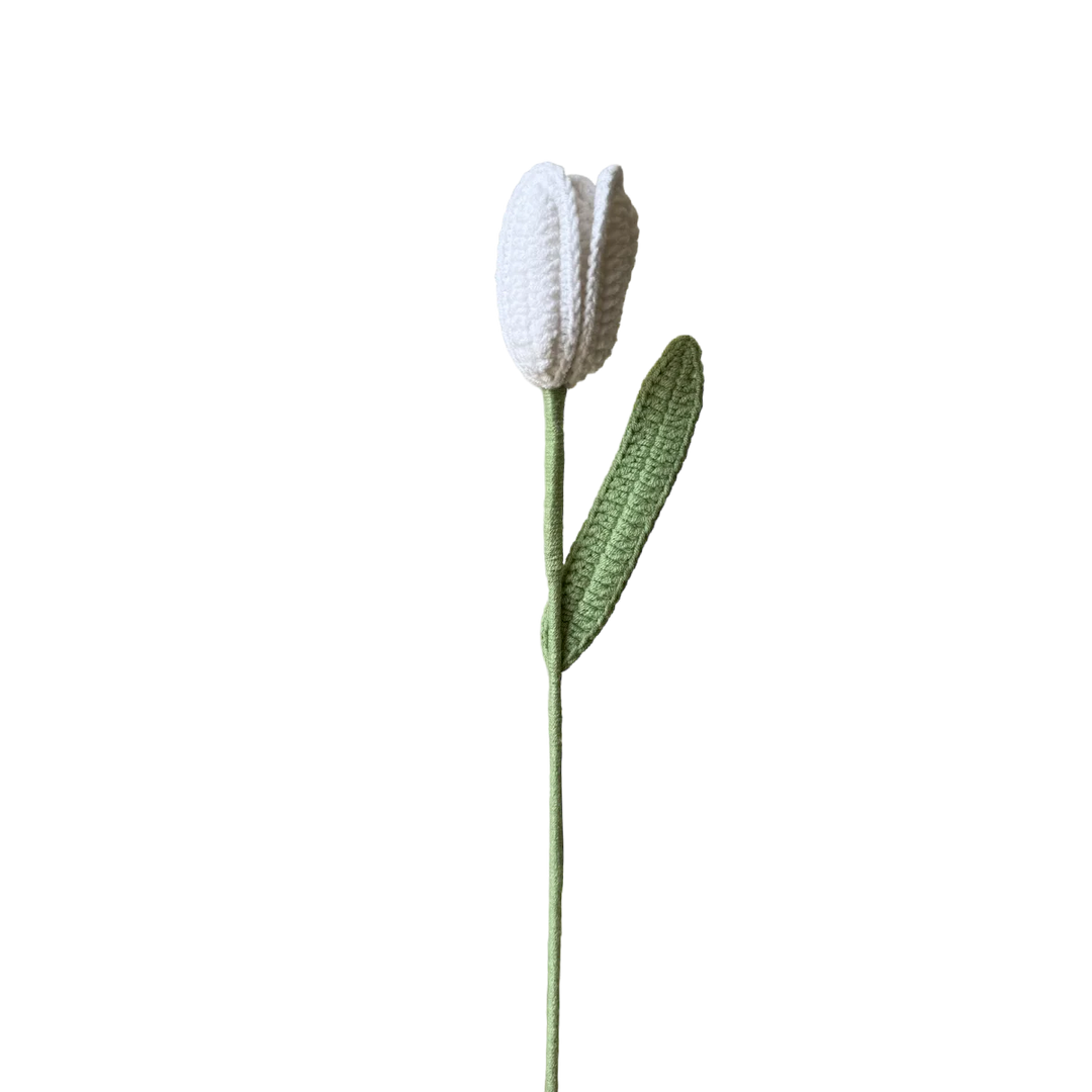 Tulip - White