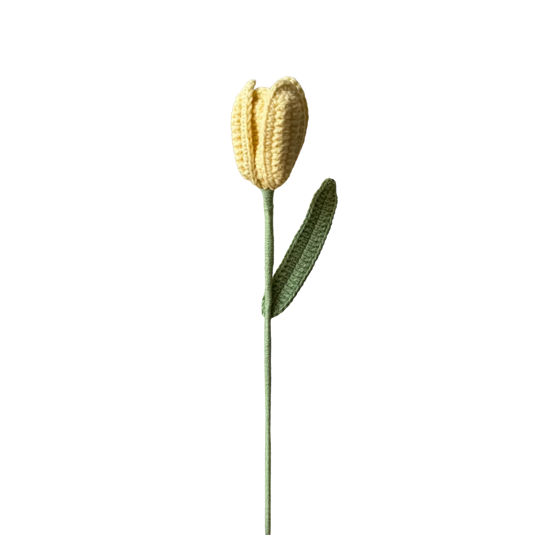 Tulip - Yellow