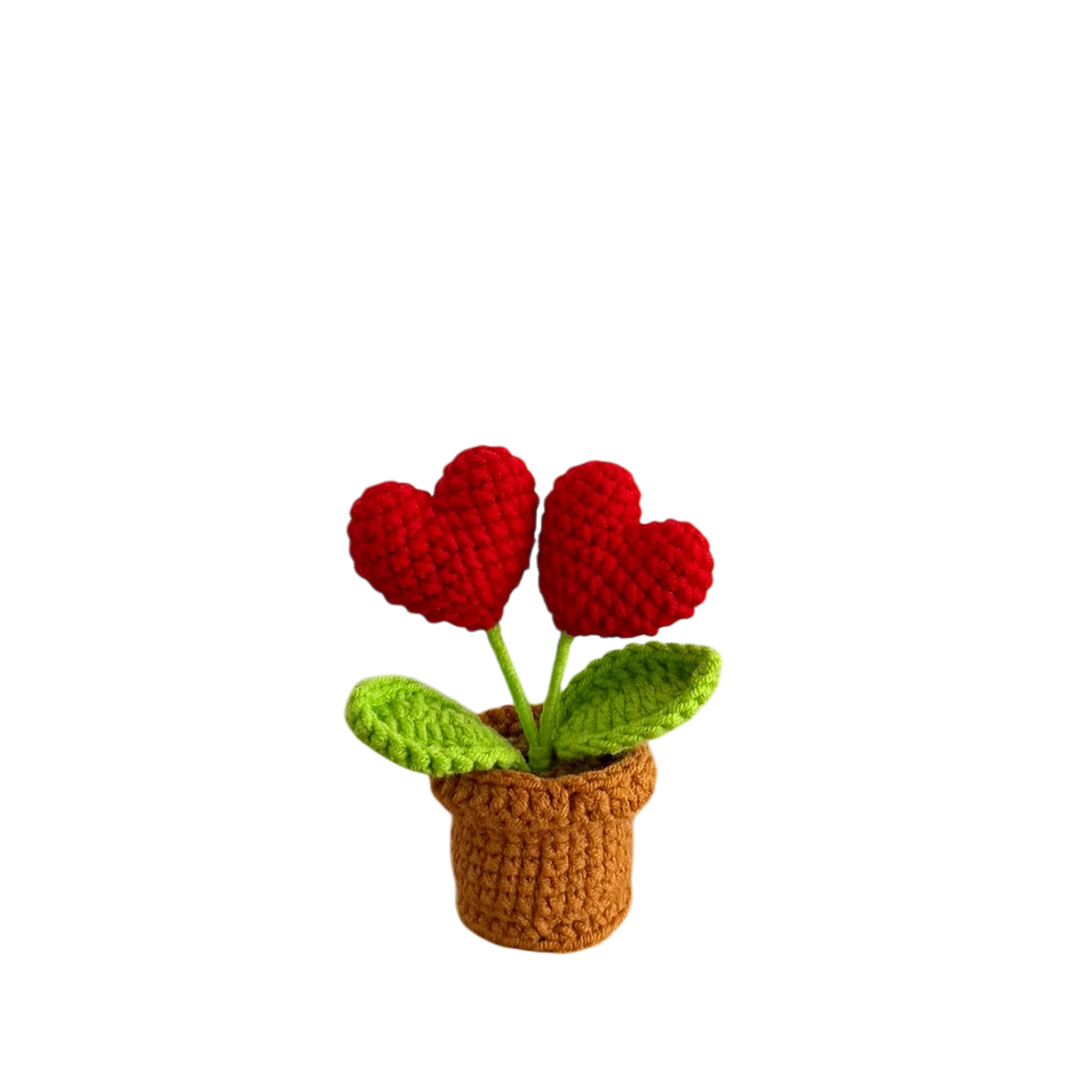Mini Lovers Pot Plant