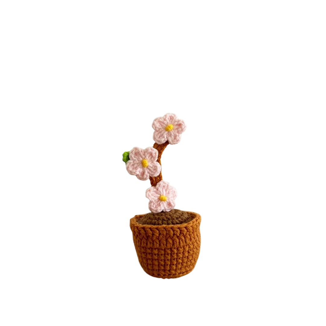 Mini Peach Blossom Pot Plant