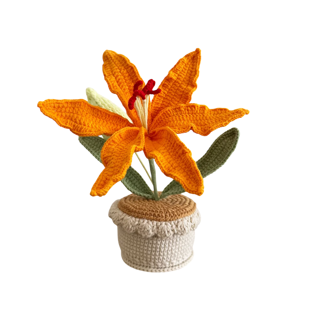 Orange Lily Pot Plant