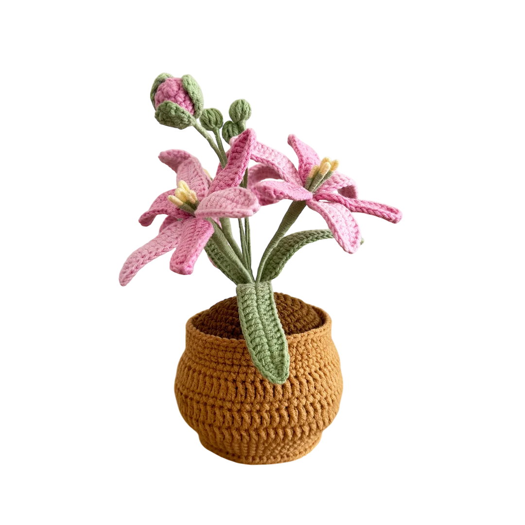 Pink Martian Orchid Pot Plant